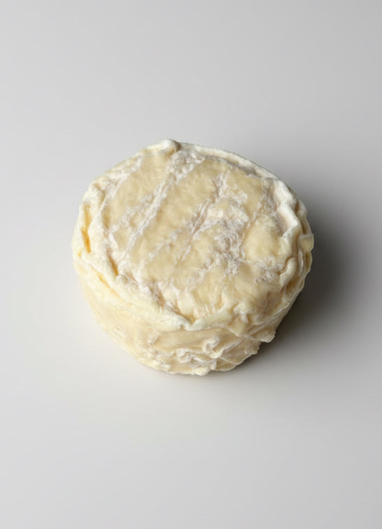 Long Paddock Silver Wattle 180g