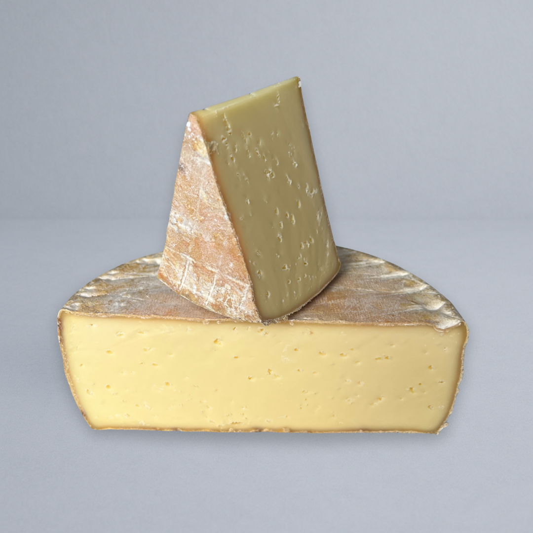 Long Paddock Banksia