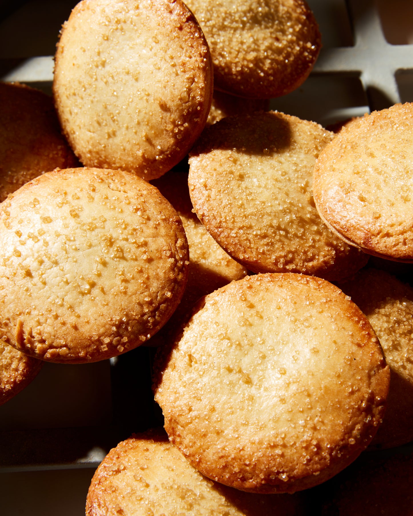 Mince Pie 6 Pack - December 25